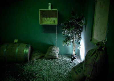 escape room perfect crime