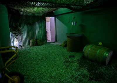 green area escape room perfect crime
